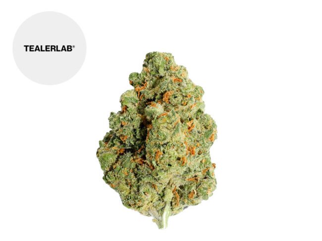 Amnesia Calilab CBD 32% - TealerLab