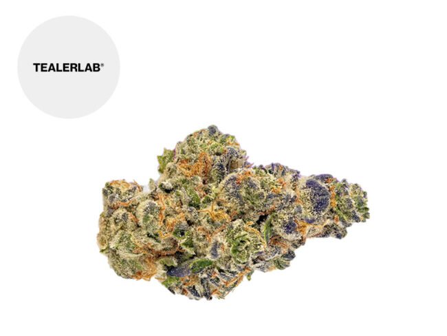 Super Zkunk THM 25% - TealerLab