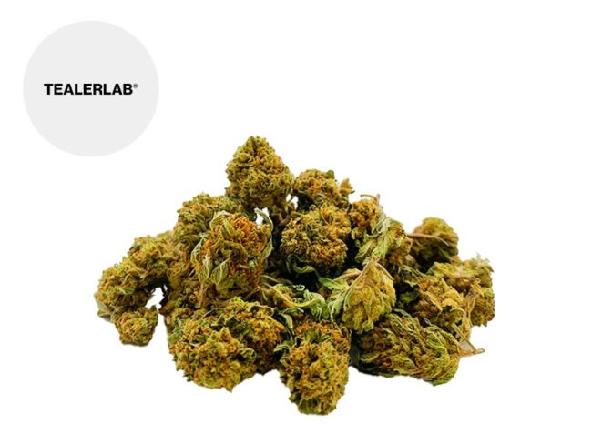 SmallBerry Bud THC+ 23% - TealerLab