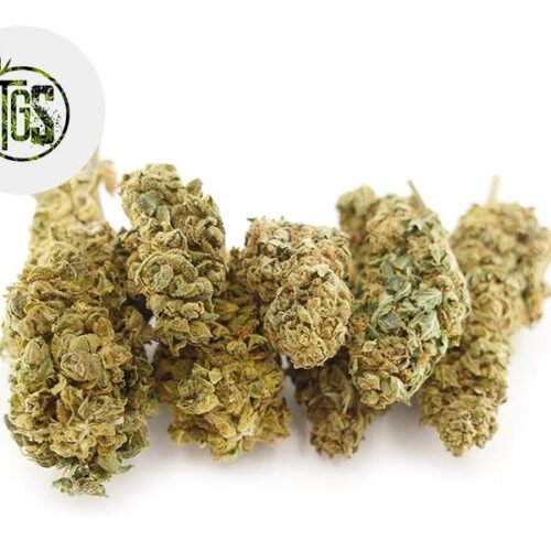 Fedtonic CBD 14% - The Green Store