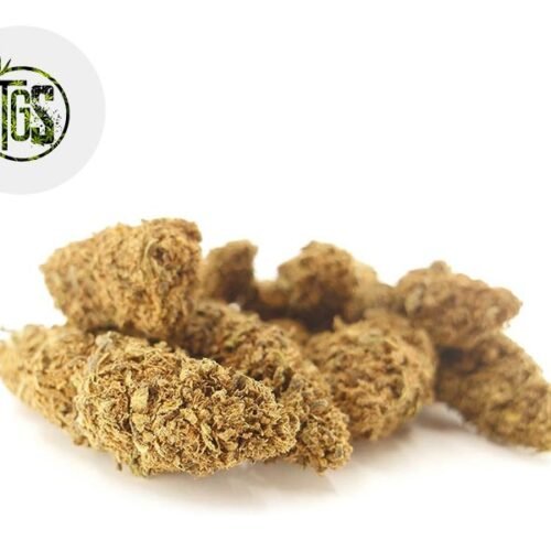 Charlotte Web CBD 5% - The Green Store