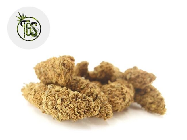 Charlotte Web CBD 5% - The Green Store