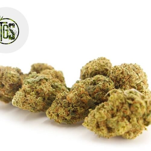 Strawberry Diesel CBD 4% - The Green Store