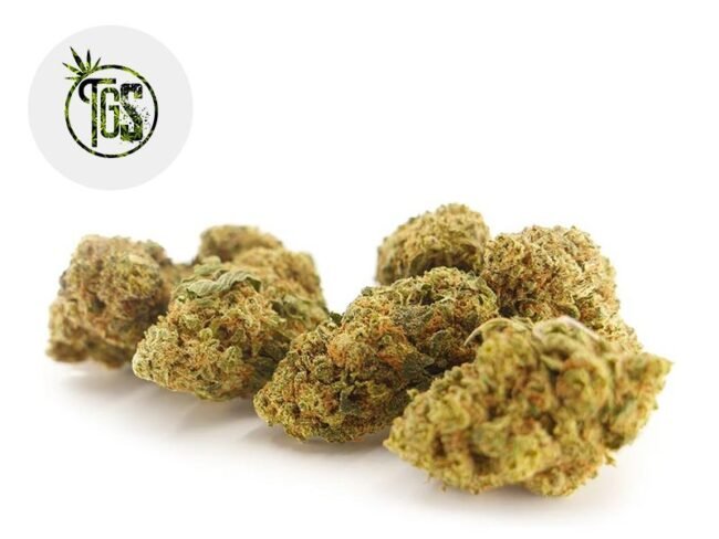 Strawberry Diesel CBD 4% - The Green Store