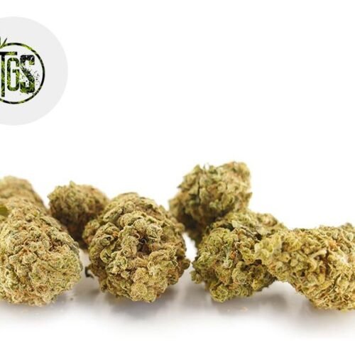 Watermelon Cookies CBD 3% - The Green Store