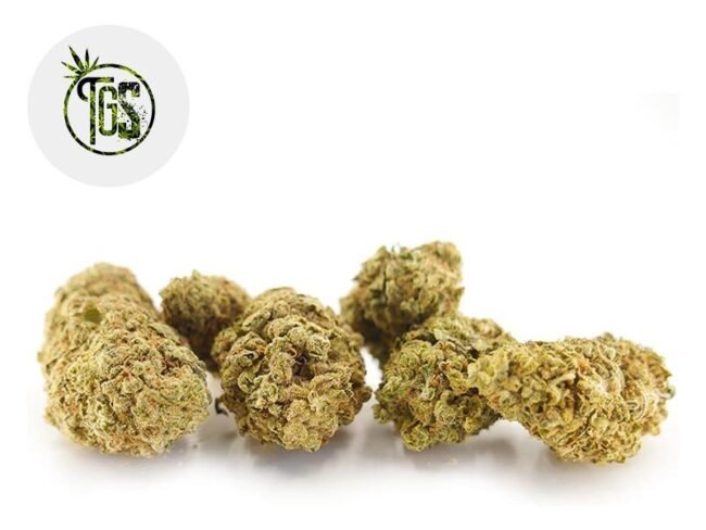 Watermelon Cookies CBD 3% - The Green Store