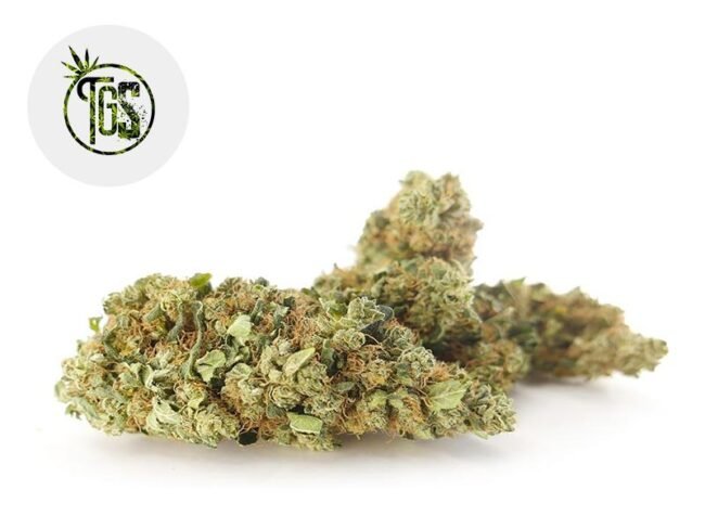 Orange Bud CBD 7% - The Green Store