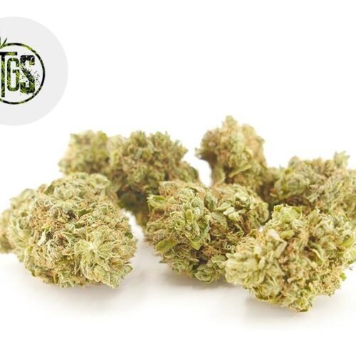 OG Kush CBD 5% - The Green Store