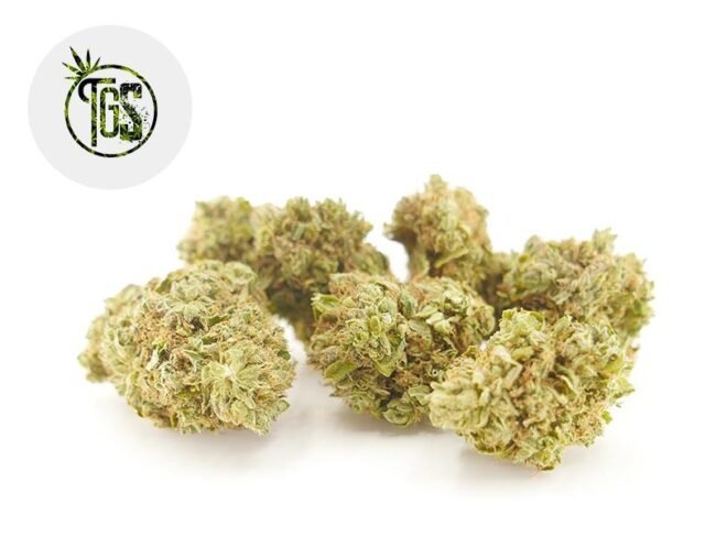 OG Kush CBD 5% - The Green Store