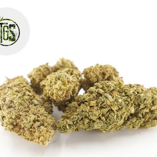 Vanilla Kush CBD 5% - The Green Store