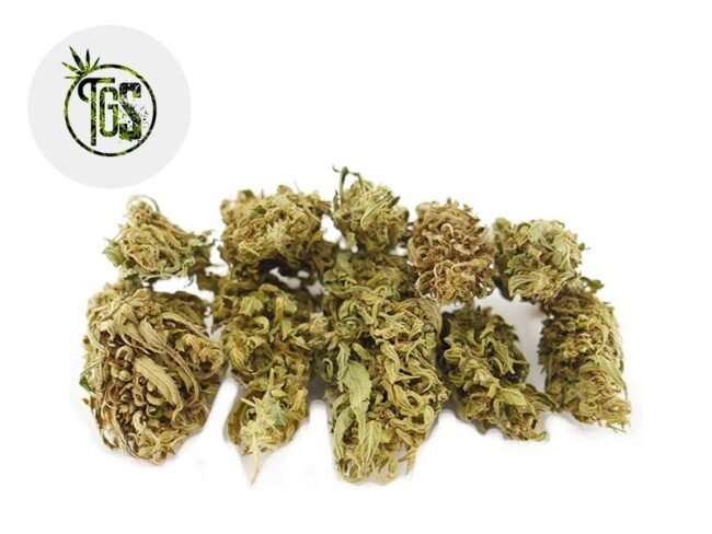 Green Grape CBD 3% - The Green Store