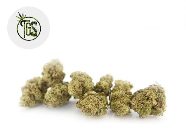 Blue Dream 2 CBD 6% - The Green Store