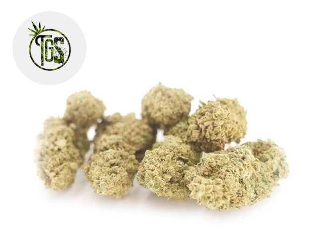 Hariboz CBD 7% - The Green Store