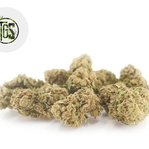 Harlequin Plus CBD 4% - The Green Store