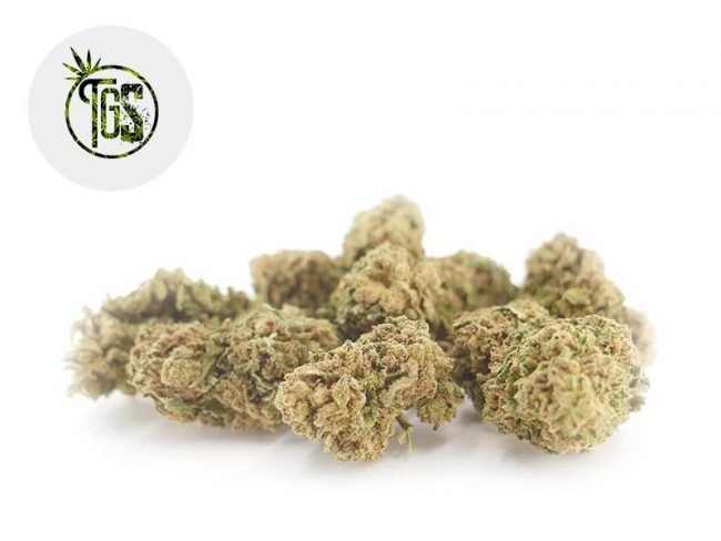Harlequin Plus CBD 4% - The Green Store