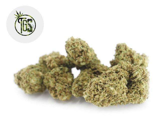 Remedy CBD 7% - The Green Store