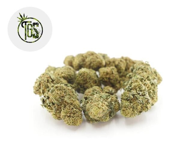 Bubble Gum CBD 4% - The Green Store