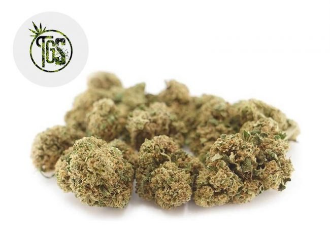 Gelato CBD 5% - The Green Store