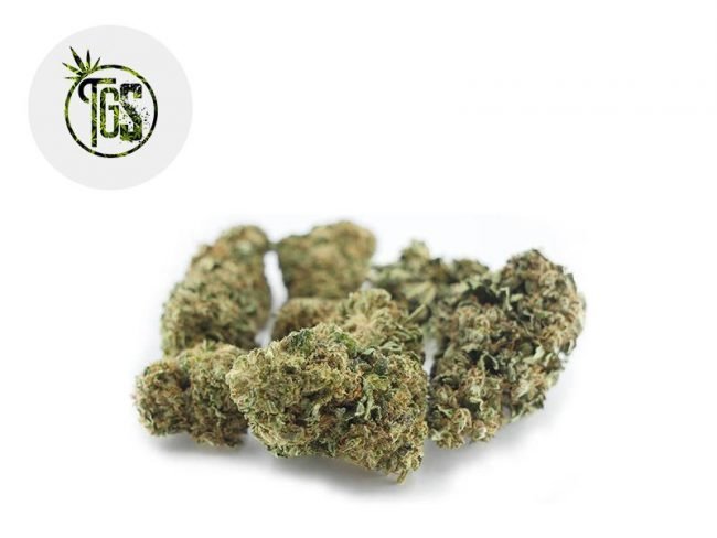 Blue Dream CBD 5% - The Green Store