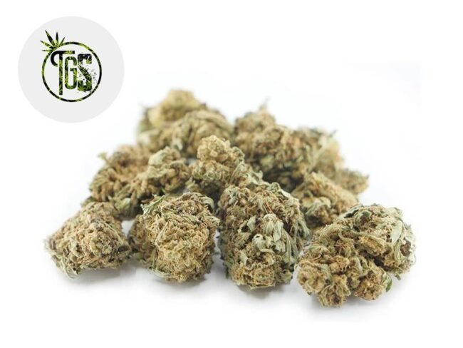 Harlequin CBD 4% - The Green Store