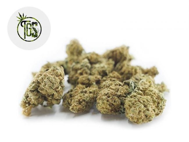 Gorilla Glue CBD 5% - The Green Store