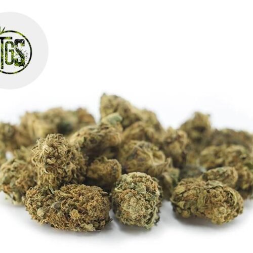 Therapy CBD 4% - The Green Store
