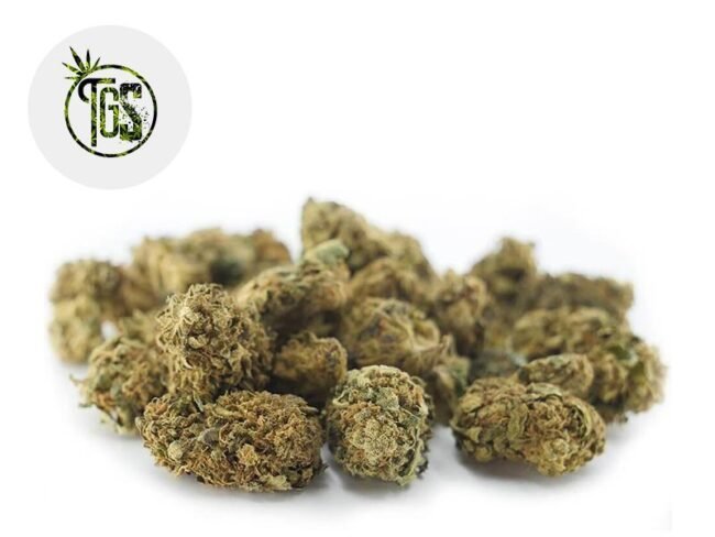 Therapy CBD 4% - The Green Store