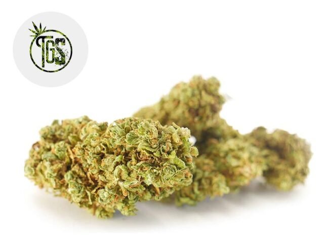 Sour Skunk 2 CBD 6% - The Green Store