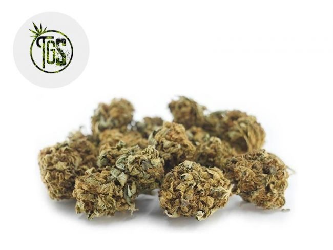 Critical CBD 3% - The Green Store
