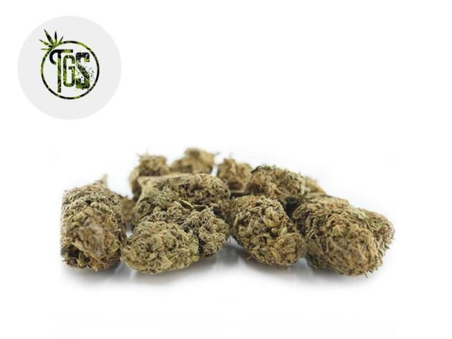 Amnesia CBD 4% - The Green Store