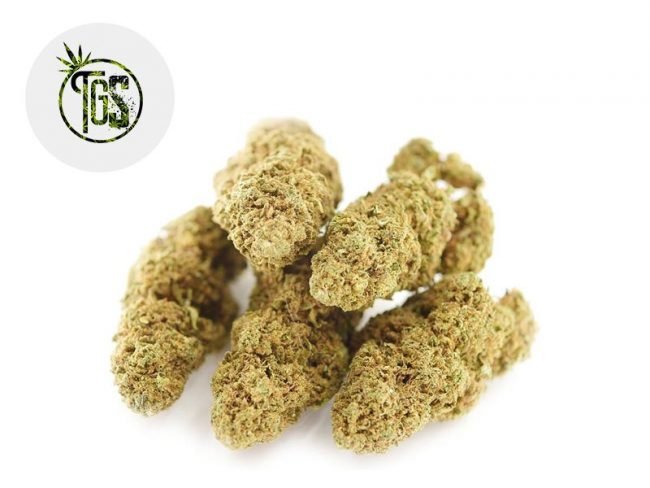 Tutti Frutti CBD 12% - The Green Store
