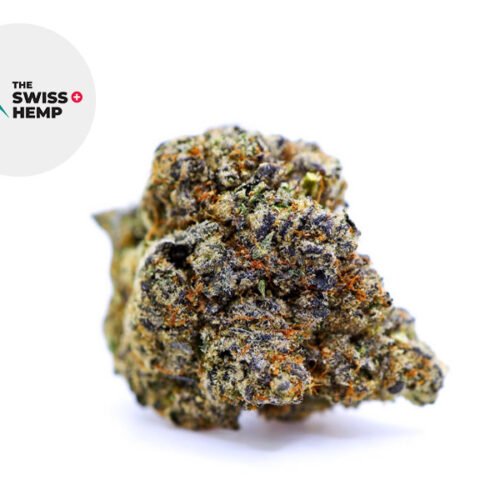 Critical Kush CBD 19% - The Swiss Hemp