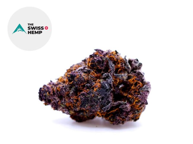 Queen Purple CBD 25% - The Swiss Hemp