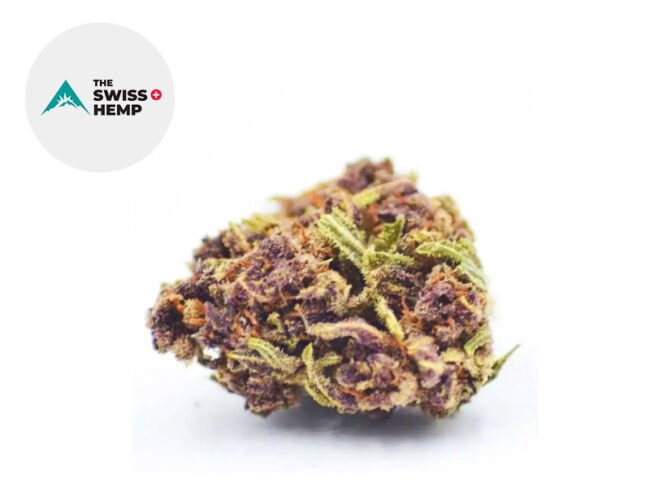 Purple Punch CBD 18% - The Swiss Hemp