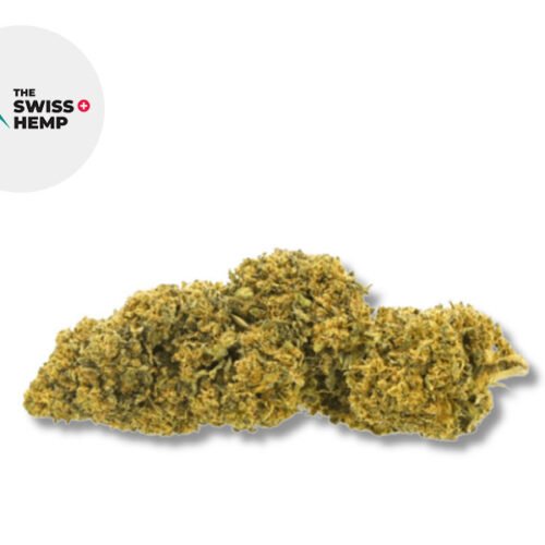 Swiss Cheese CBD 14% - The Swiss Hemp