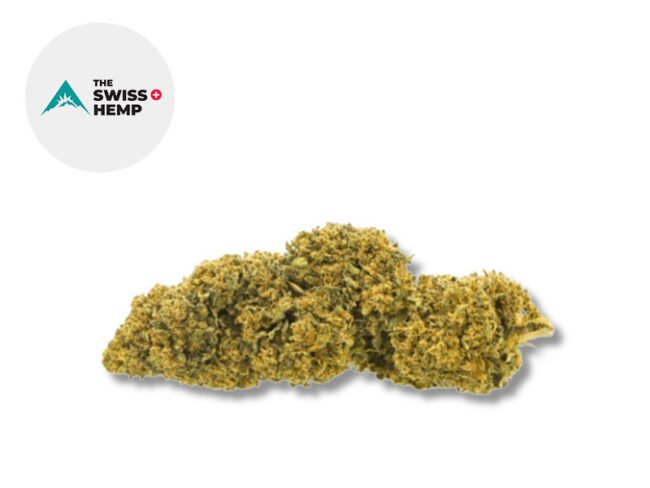 Swiss Cheese CBD 14% - The Swiss Hemp