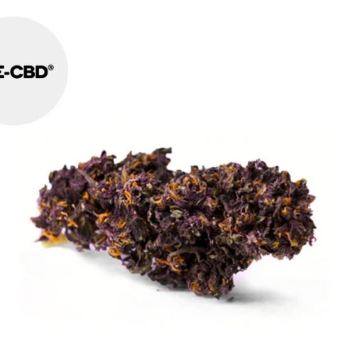 Purple Haze CBD 50g 20% - We-CBD
