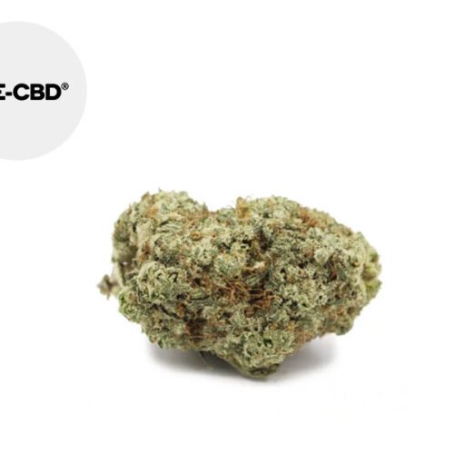 Amnesia CBD 50g 22% - We-CBD