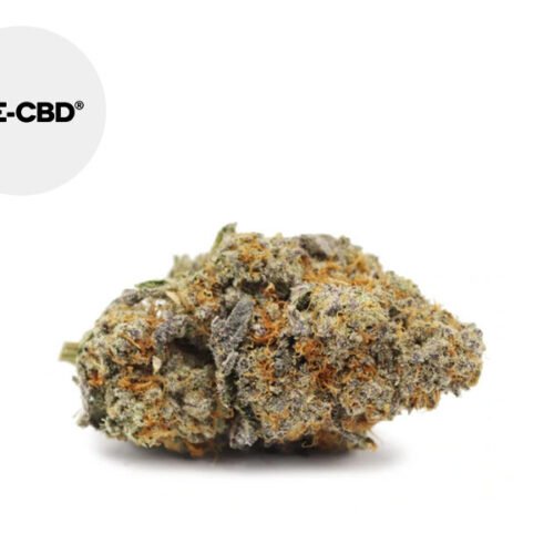 Lemon Haze CBD 50g 20% - We-CBD