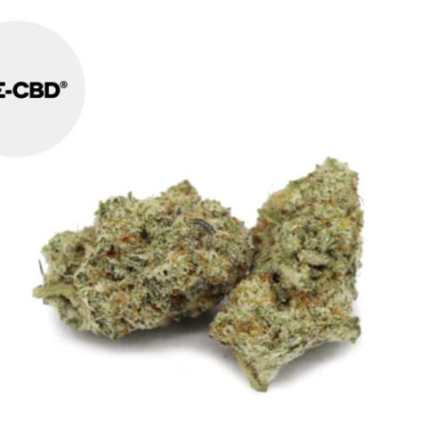 Swiss Cheese CBD 20% - We-CBD
