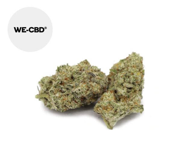 Swiss Cheese CBD 20% - We-CBD