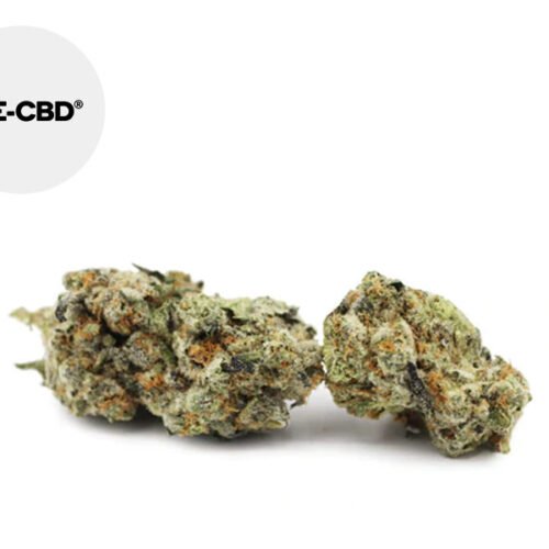 Harlequin CBD 20% - We-CBD