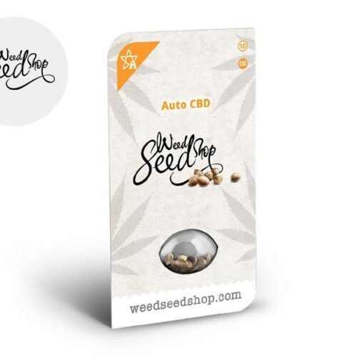 Graines Jack Herer CBD autofloraison - Weedseedshop