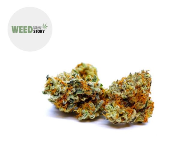 Tutti Frutti Small Buds CBD 11% - Weed Side Story