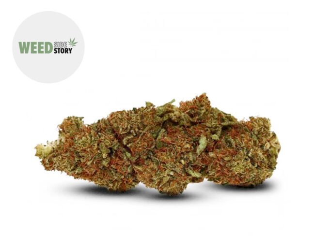 Gelato CBD 27% - Weed Side Story