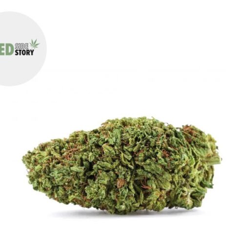 Blue Dream CBD+ 32% - Weed Side Story