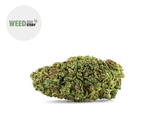Blue Dream CBD+ 32% - Weed Side Story