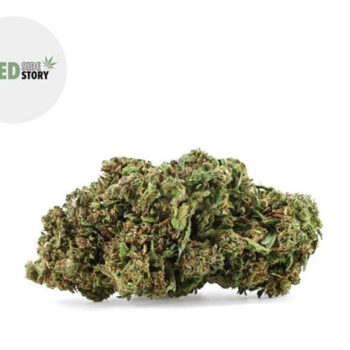 Forbidden Fruit CBD+ 33% - Weed Side Story