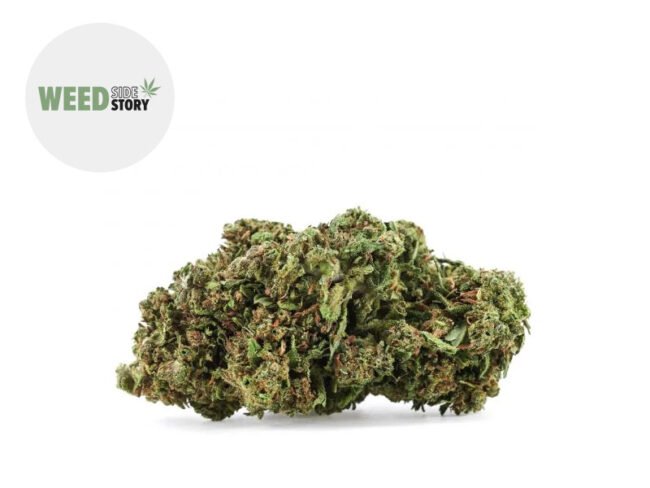 Forbidden Fruit CBD+ 33% - Weed Side Story