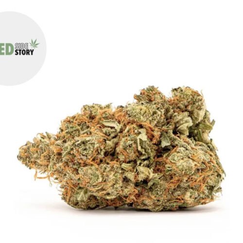 AK-47 CBD+ 27% - Weed Side Story